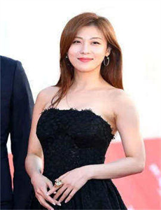完美的妻子
