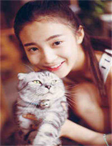 tvb